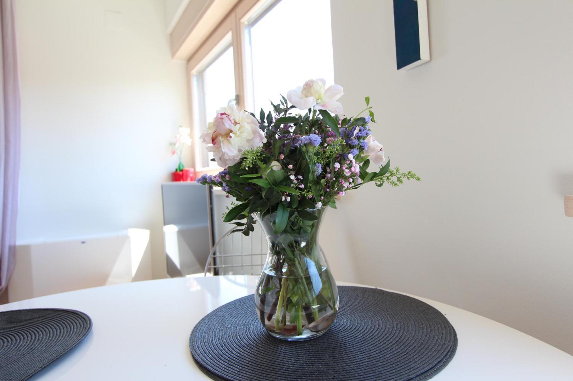 Apartments Makado Rovinj Room photo